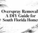 Overspray removal florida home